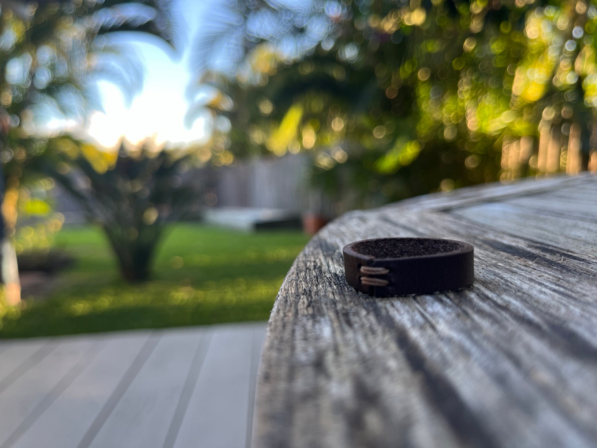 Close-up of a dark brown leather ring with greenery in the background